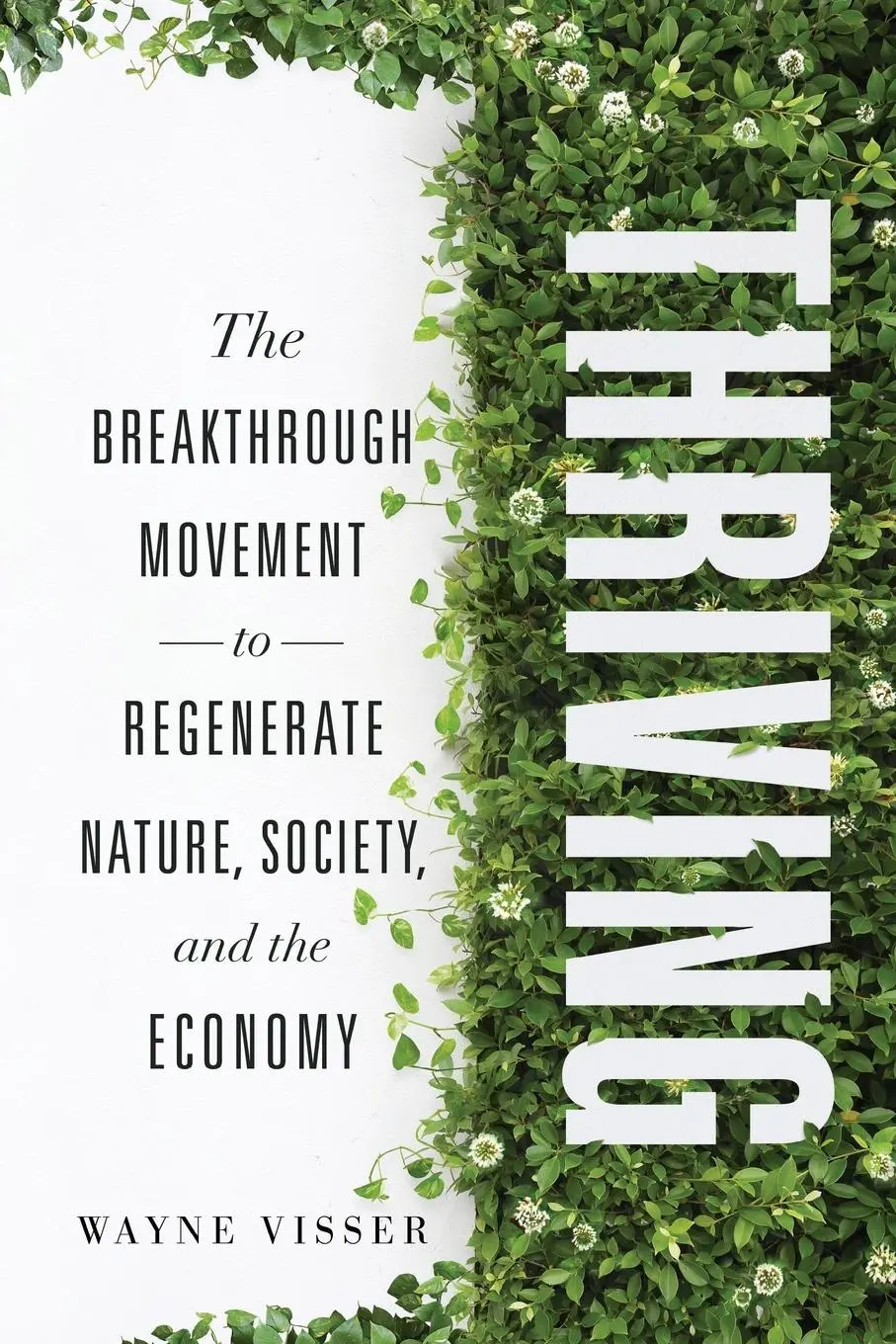 Cover: 9781966629139 | Thriving | Wayne Visser | Taschenbuch | Englisch | 2025