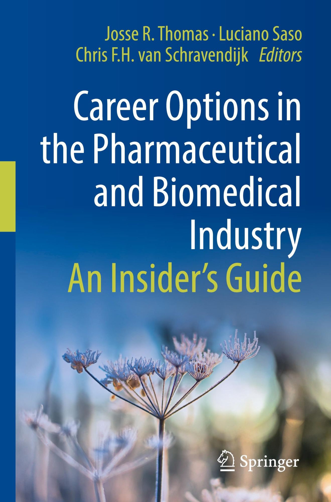 Cover: 9783031149139 | Career Options in the Pharmaceutical and Biomedical Industry | Buch