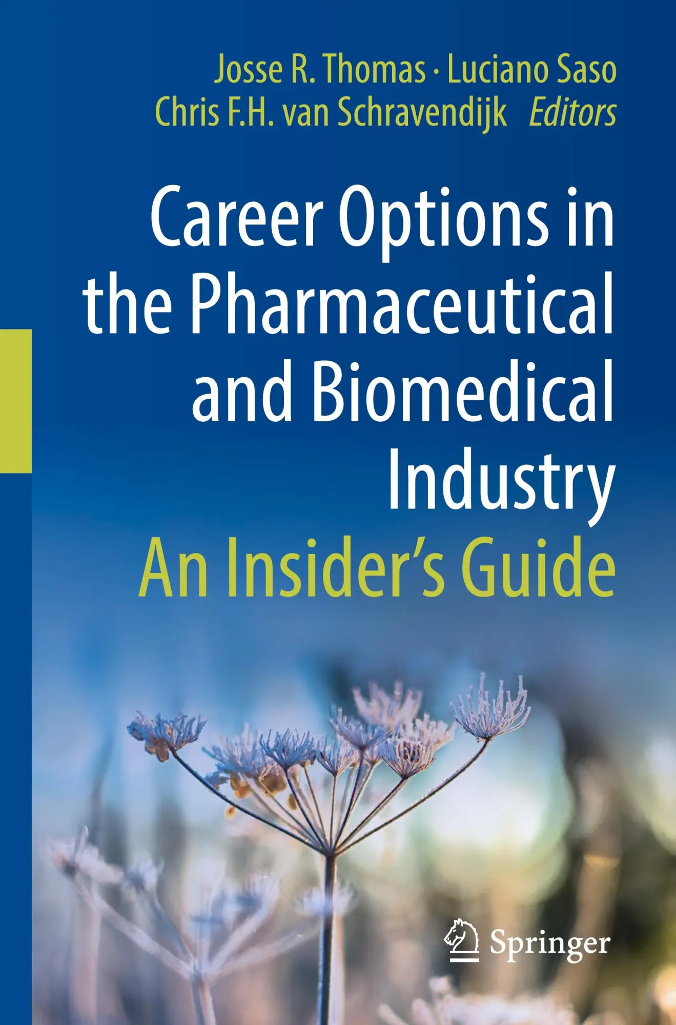 Cover: 9783031149139 | Career Options in the Pharmaceutical and Biomedical Industry | Buch