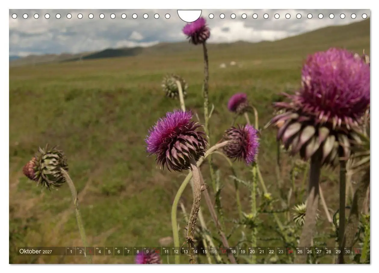 Bild: 9783569989139 | Mongolei - weites Land (Wandkalender 2027 DIN A4 quer), CALVENDO...