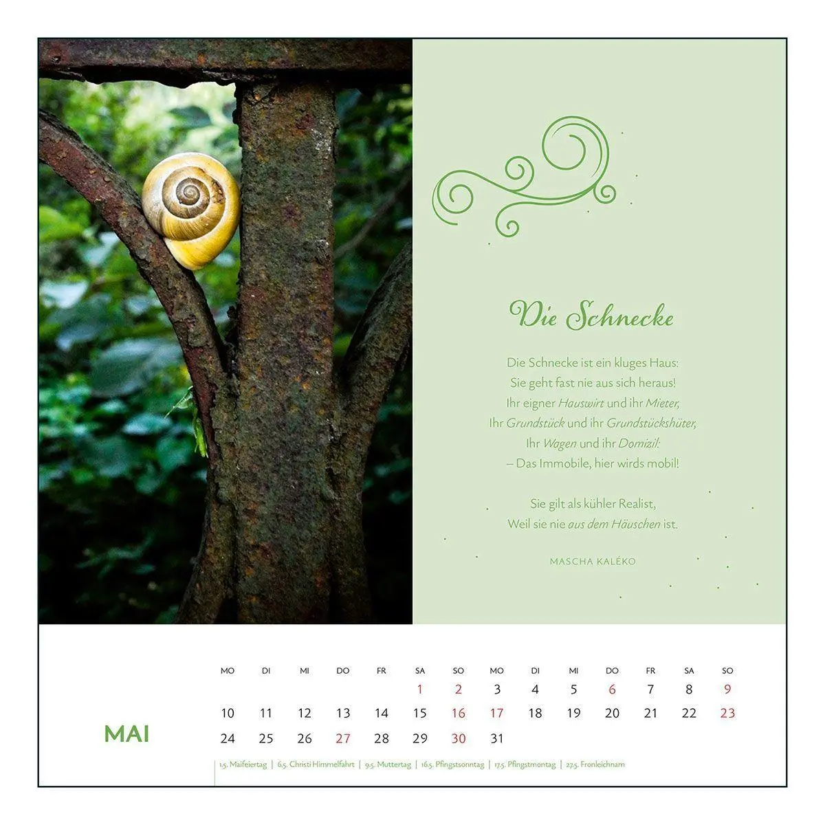 Bild: 9783746269139 | Mascha Kaléko 2027 | Der poetische Postkartenkalender | Mascha Kaléko