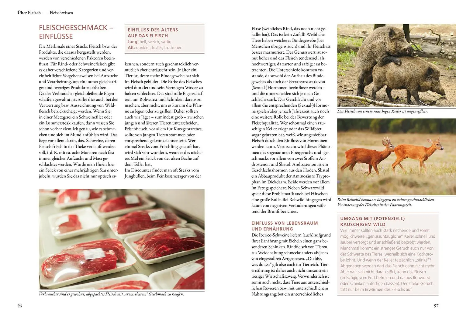 Bild: 9783440179239 | Erlegen - versorgen - vermarkten | Isabelle Bulling | Buch | 152 S.