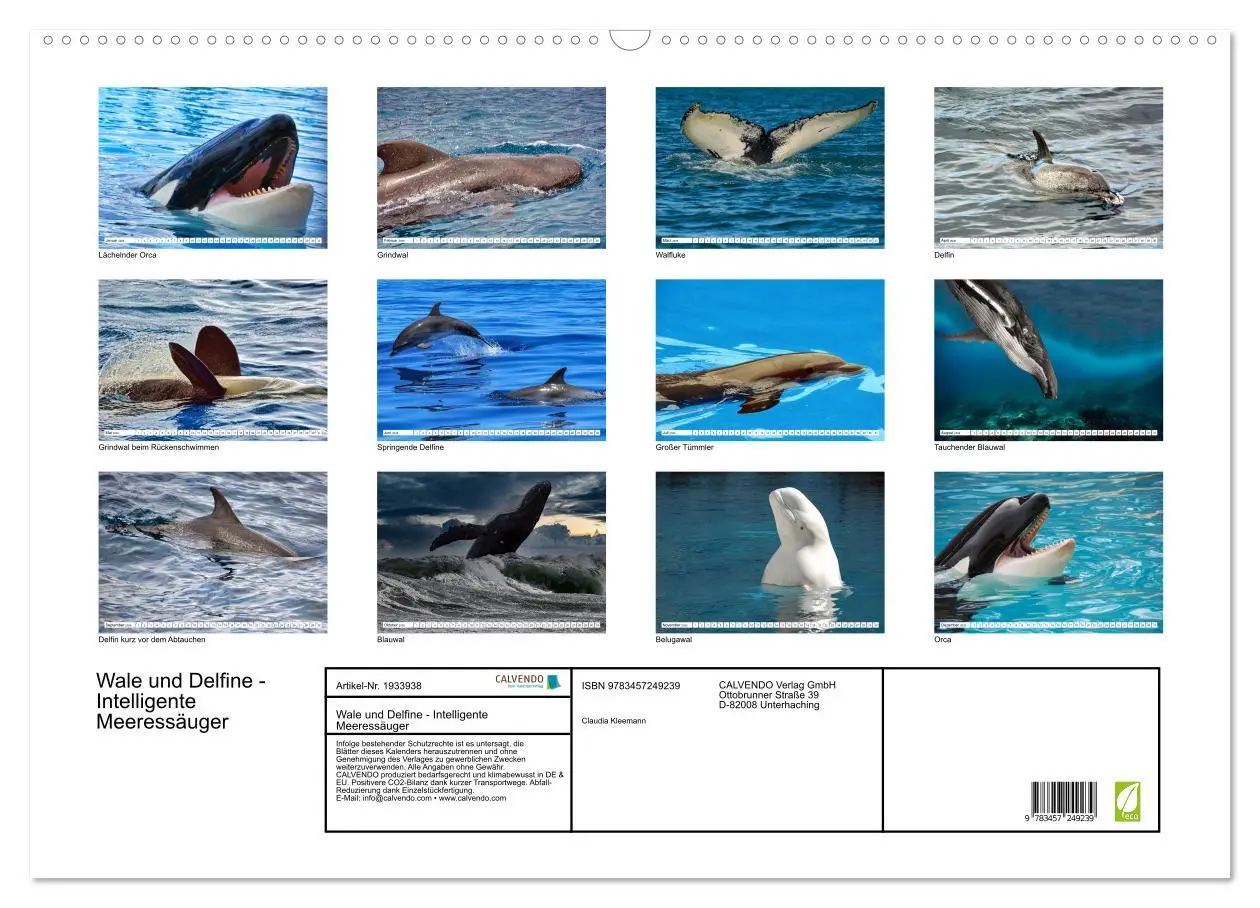 Bild: 9783457249239 | Wale und Delfine - Intelligente Meeressäuger (Wandkalender 2026 DIN...