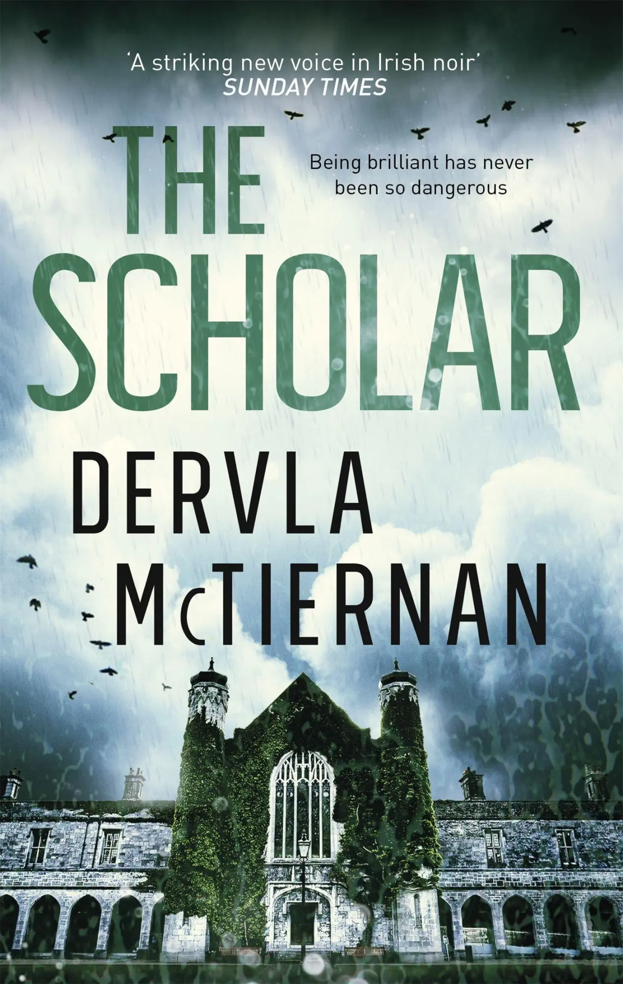 Cover: 9780751569339 | The Scholar | DI Cormac Reilly 2 | Dervla McTiernan | Taschenbuch