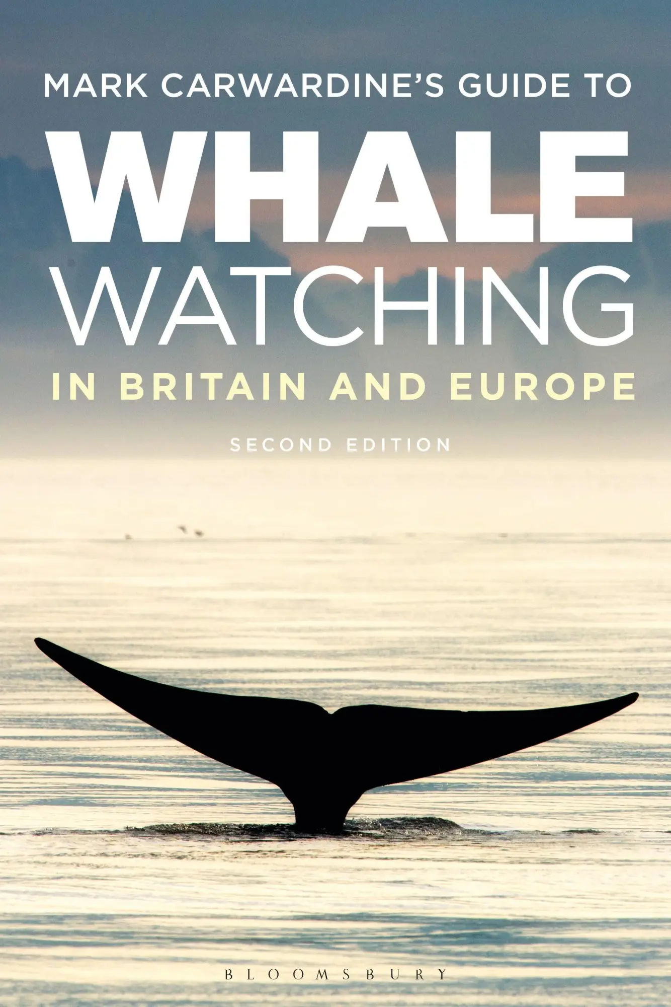 Cover: 9781472979339 | Mark Carwardine's Guide to Whale Watching in Britain and Europe | Buch