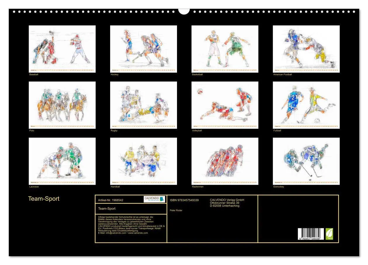 Bild: 9783457549339 | Team-Sport (Wandkalender 2026 DIN A2 quer), CALVENDO Monatskalender