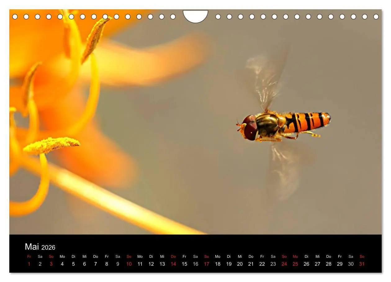 Bild: 9783516189339 | Makro-Kalender 2026 (Wandkalender 2026 DIN A4 quer), CALVENDO...