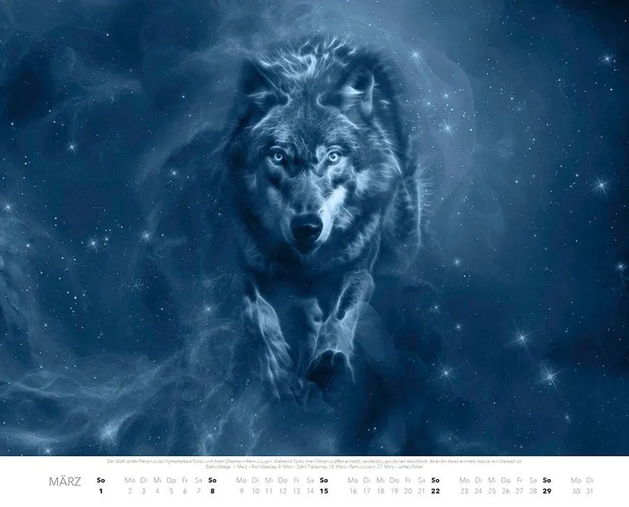 Bild: 9783966649339 | Patronus Kalender für Potterheads 2026 XXL-Wandkalender | Ferreira