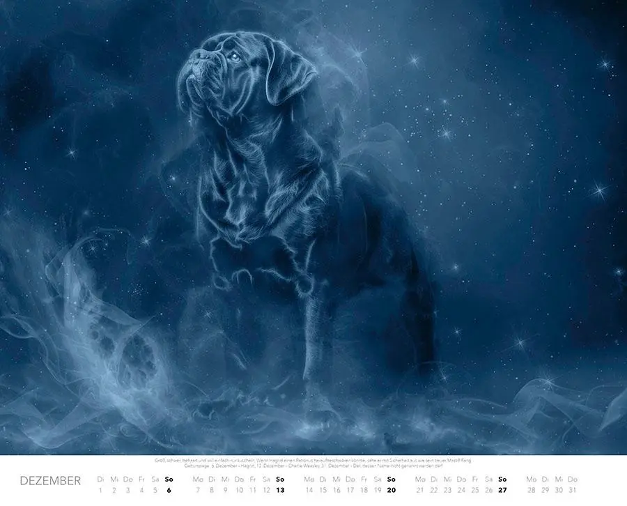 Bild: 9783966649339 | Patronus Kalender für Potterheads 2026 XXL-Wandkalender | Ferreira