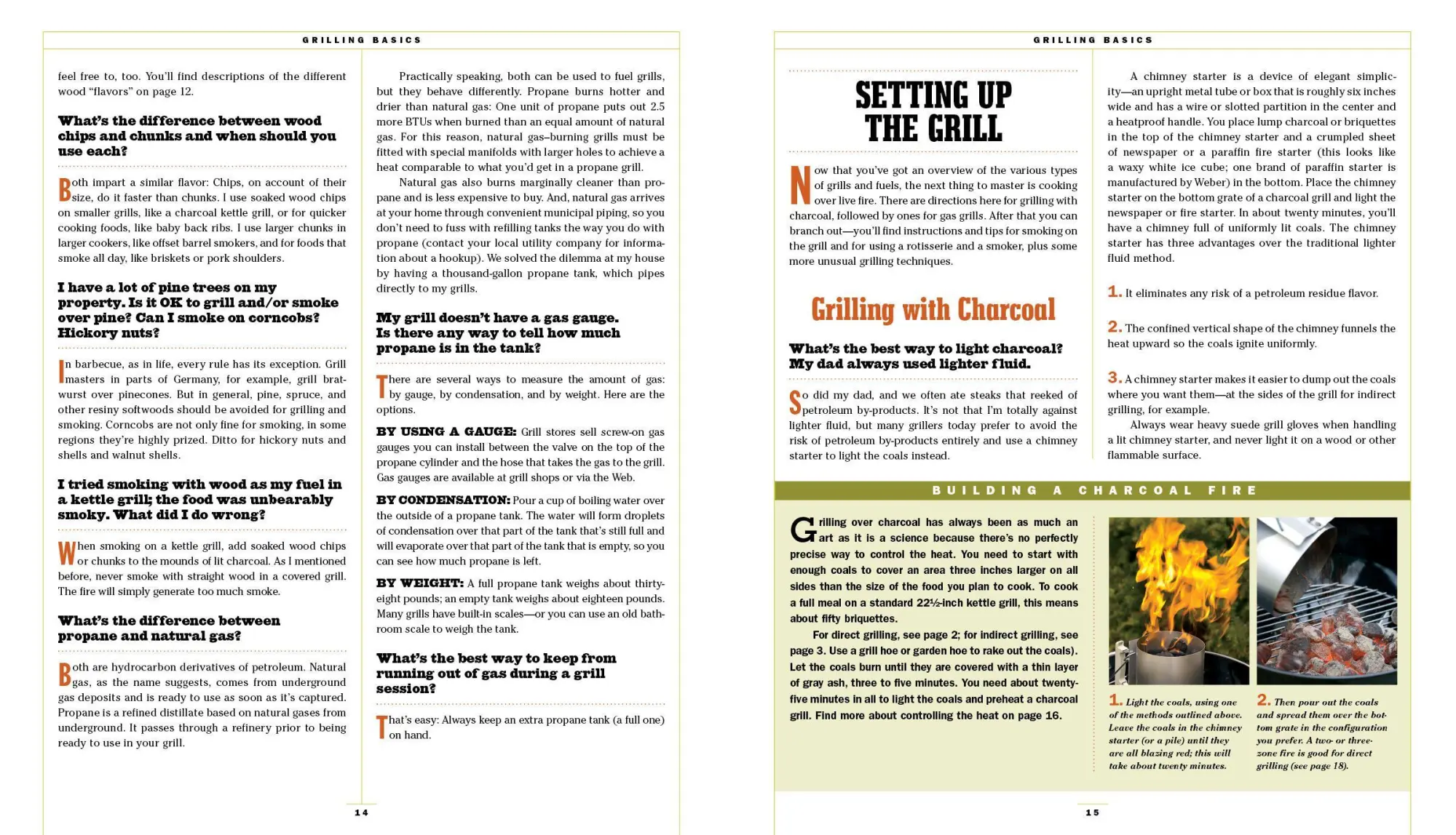 Bild: 9780761149439 | The Barbecue Bible. 10th Anniversary Edition | Steven Raichlen | Buch