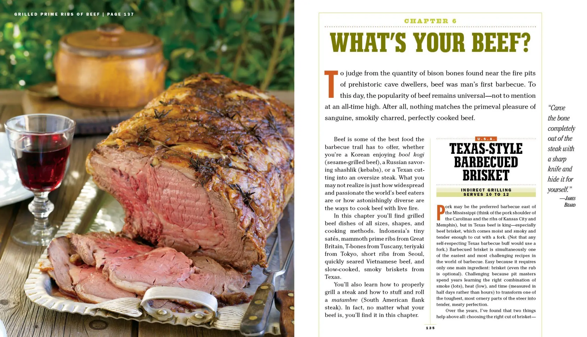 Bild: 9780761149439 | The Barbecue Bible. 10th Anniversary Edition | Steven Raichlen | Buch