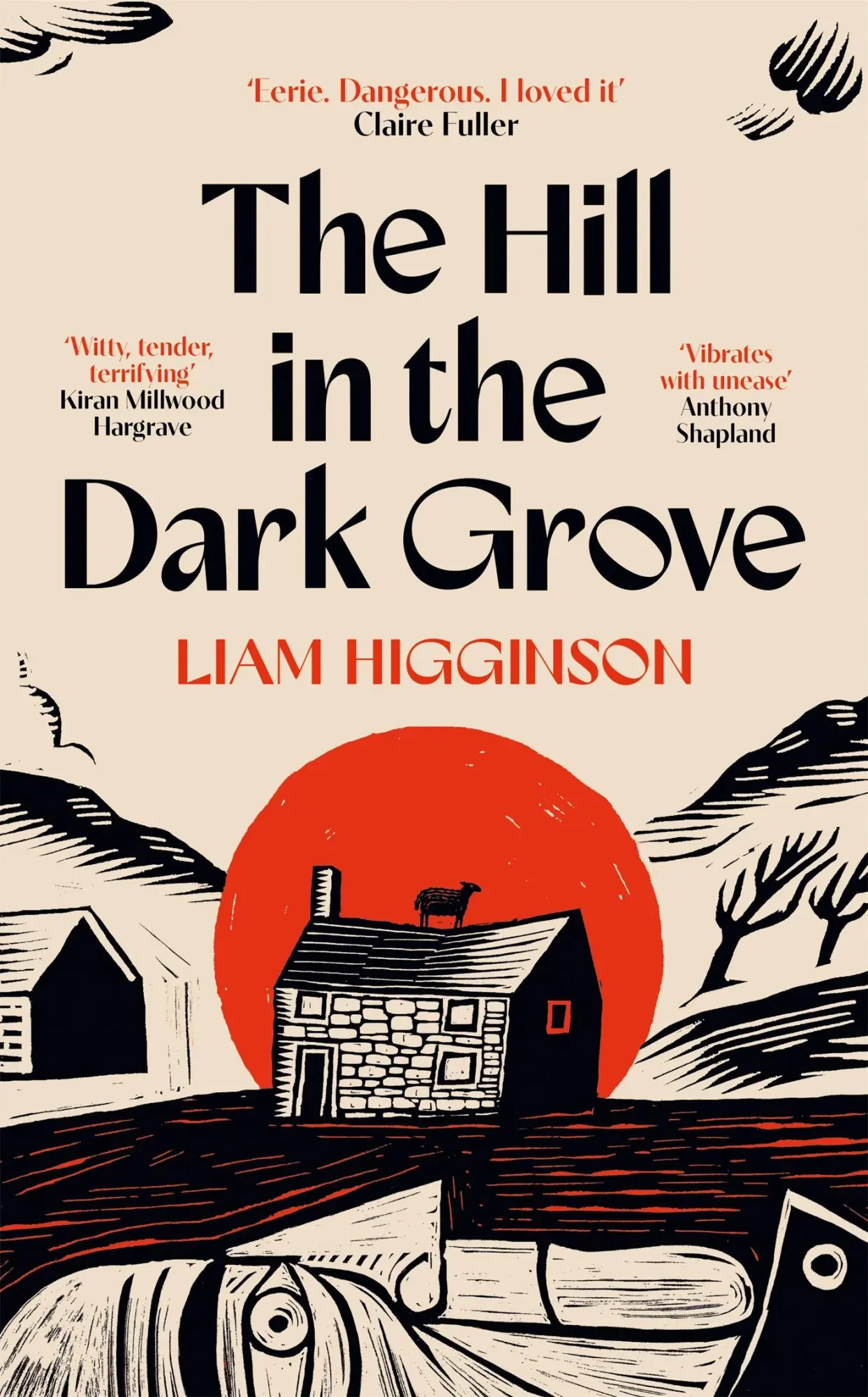 Cover: 9781035069439 | The Hill in the Dark Grove | Liam Higginson | Taschenbuch | 292 S.