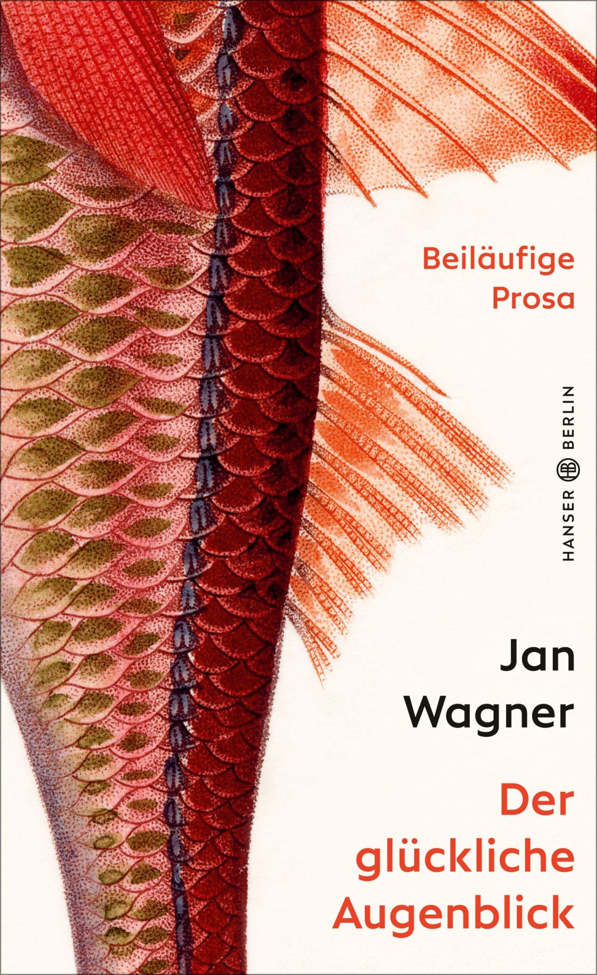 Cover: 9783446269439 | Der glückliche Augenblick | Beiläufige Prosa | Jan Wagner | Buch