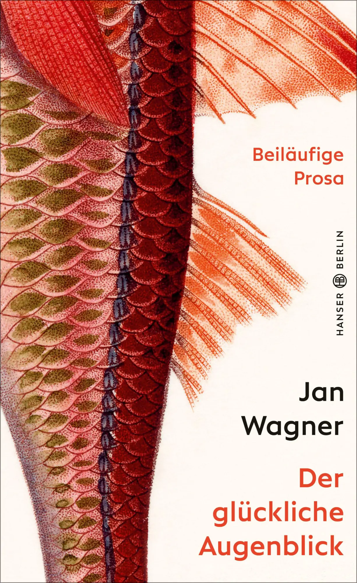 Cover: 9783446269439 | Der glückliche Augenblick | Beiläufige Prosa | Jan Wagner | Buch