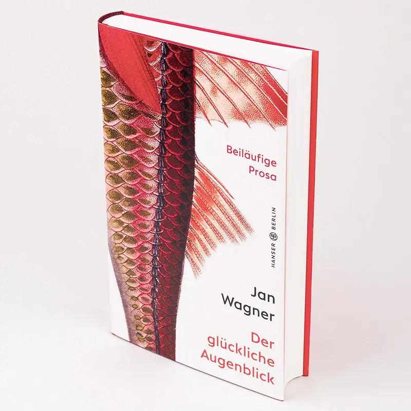 Bild: 9783446269439 | Der glückliche Augenblick | Beiläufige Prosa | Jan Wagner | Buch