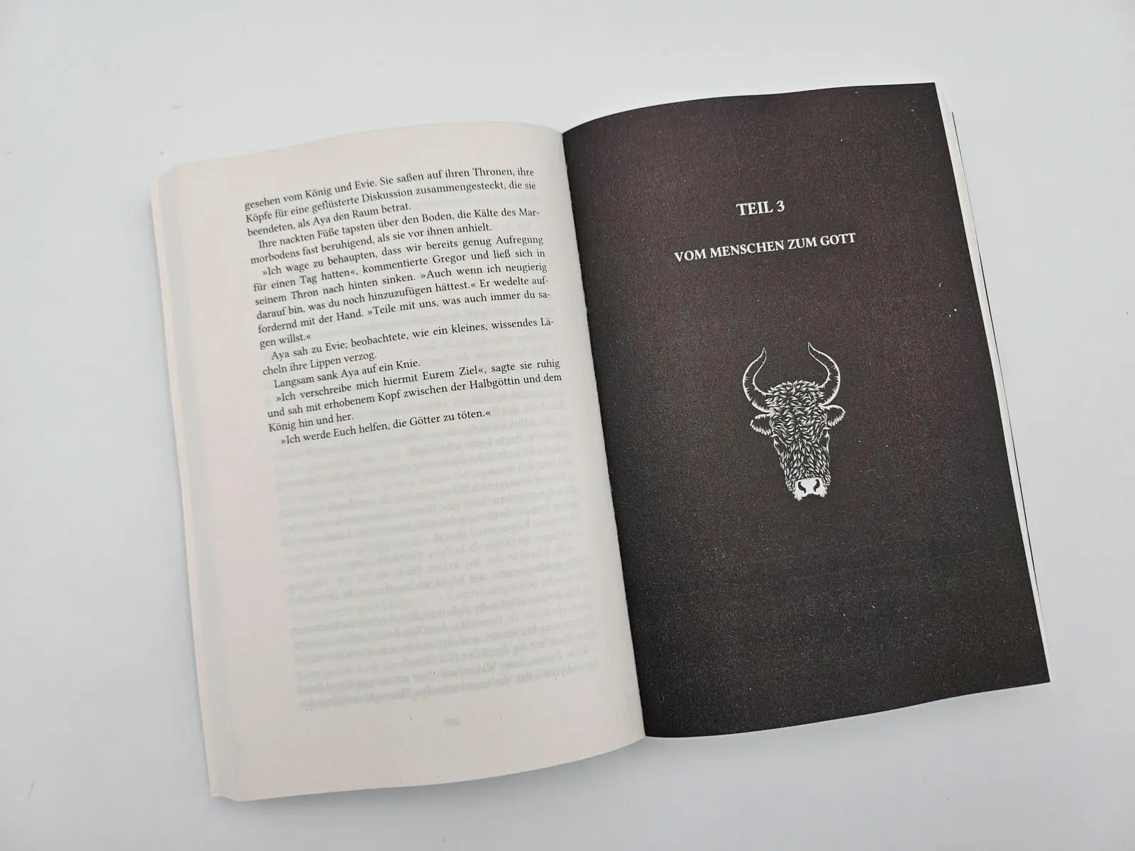 Bild: 9783492709439 | The Curse of Gods | Kate Dramis | Taschenbuch | The Curse of Saints