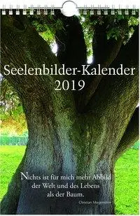 Cover: 9783843499439 | Seelenbilder-Kalender 2019 | Wandkalender | Markus Schirner | Kalender