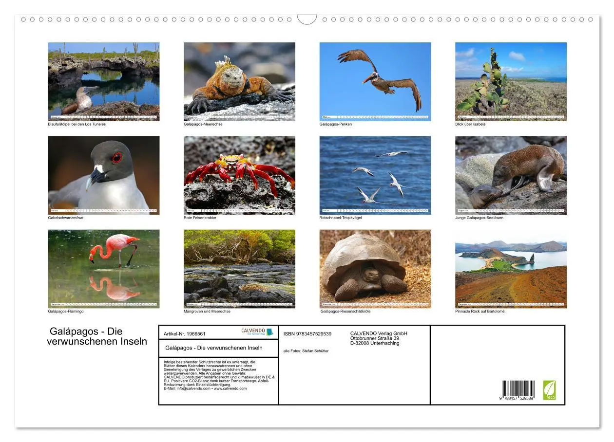 Bild: 9783457529539 | Galápagos - Die verwunschenen Inseln (Wandkalender 2026 DIN A2...
