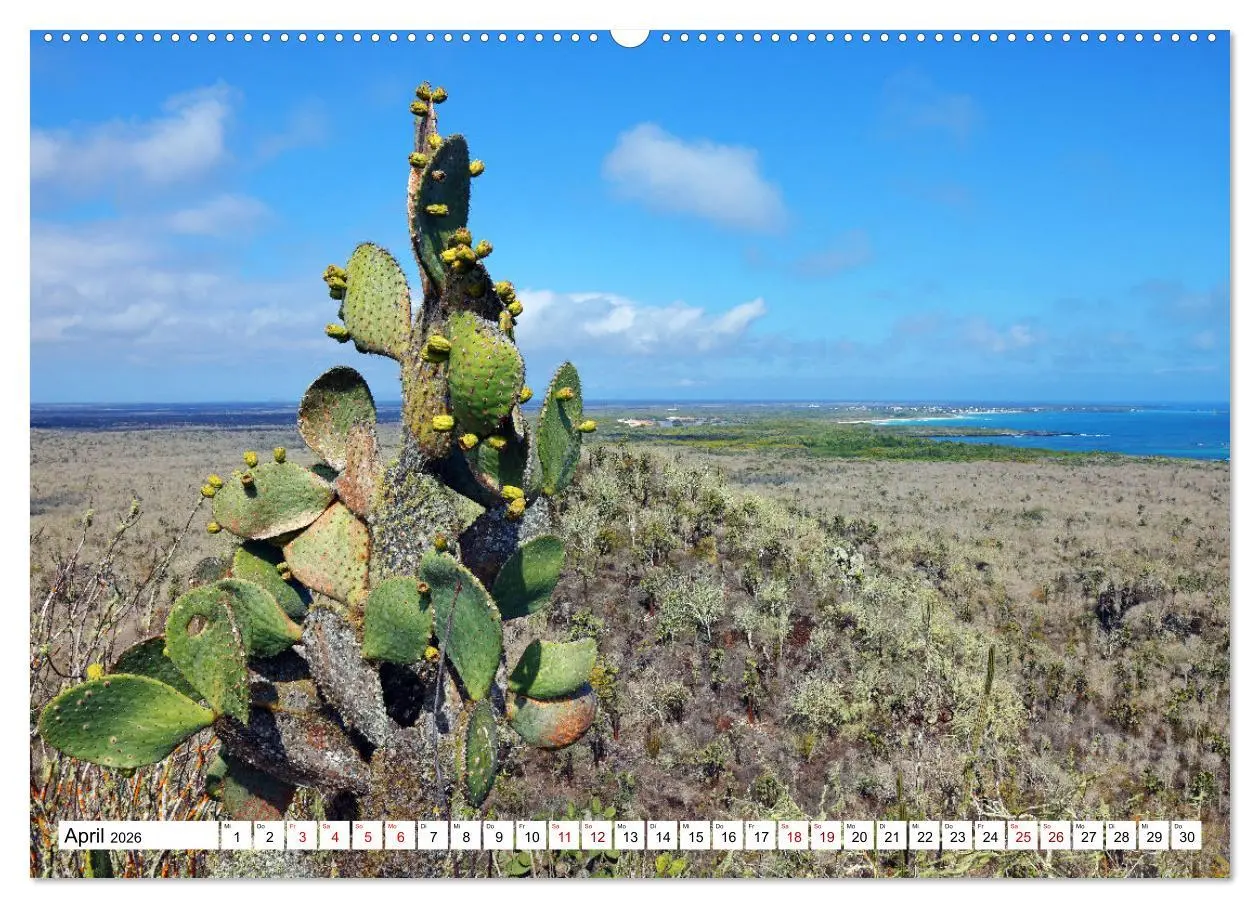 Bild: 9783457529539 | Galápagos - Die verwunschenen Inseln (Wandkalender 2026 DIN A2...