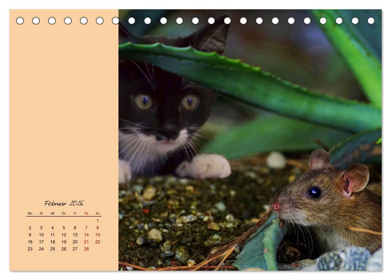 Bild: 9783457839539 | Mausige Zeiten! Putzige Gesellen mit Knopfaugen (Tischkalender 2026...