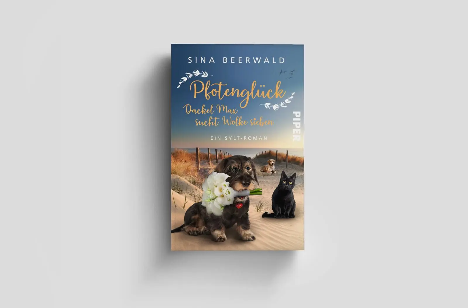Bild: 9783492319539 | Pfotenglück - Dackel Max sucht Wolke sieben | Sina Beerwald | Buch