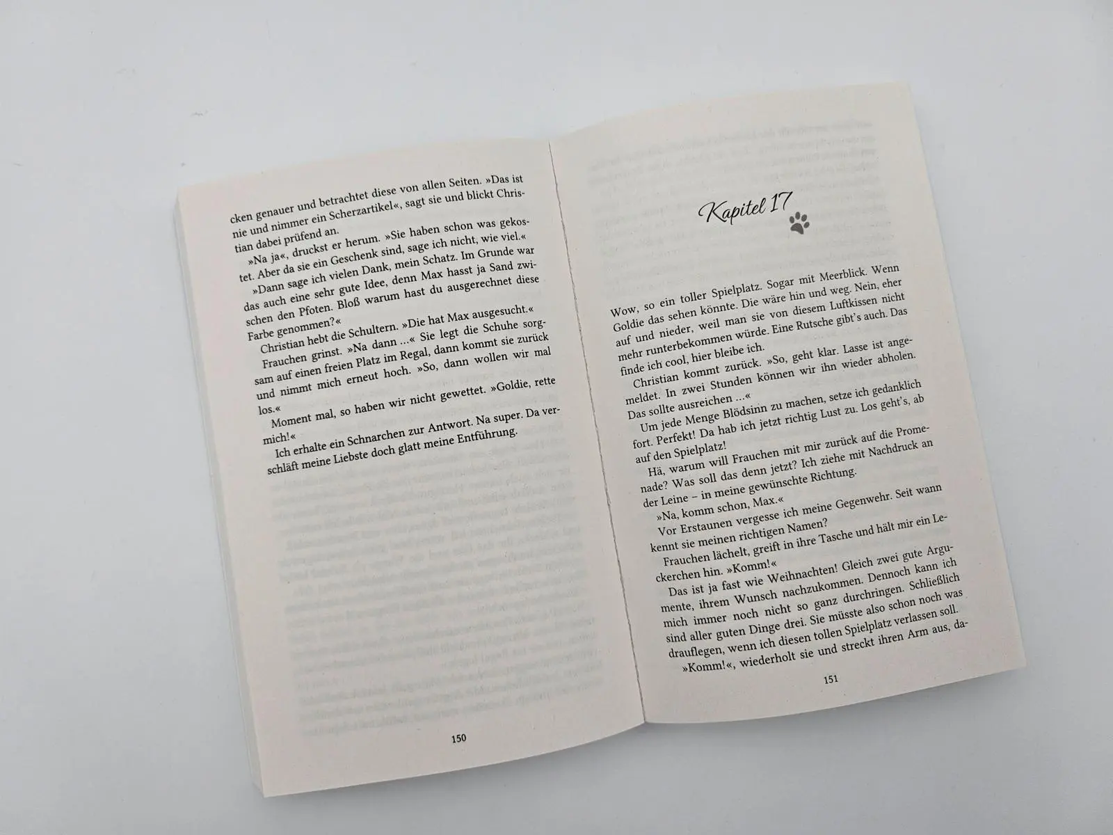Bild: 9783492319539 | Pfotenglück - Dackel Max sucht Wolke sieben | Sina Beerwald | Buch
