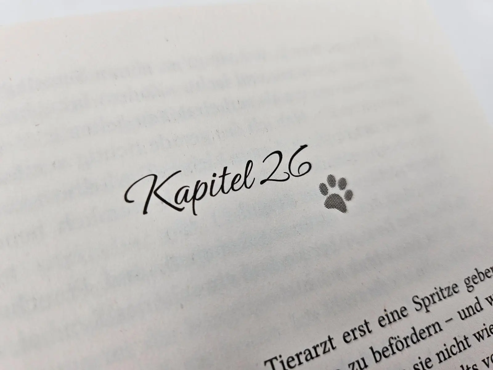 Bild: 9783492319539 | Pfotenglück - Dackel Max sucht Wolke sieben | Sina Beerwald | Buch