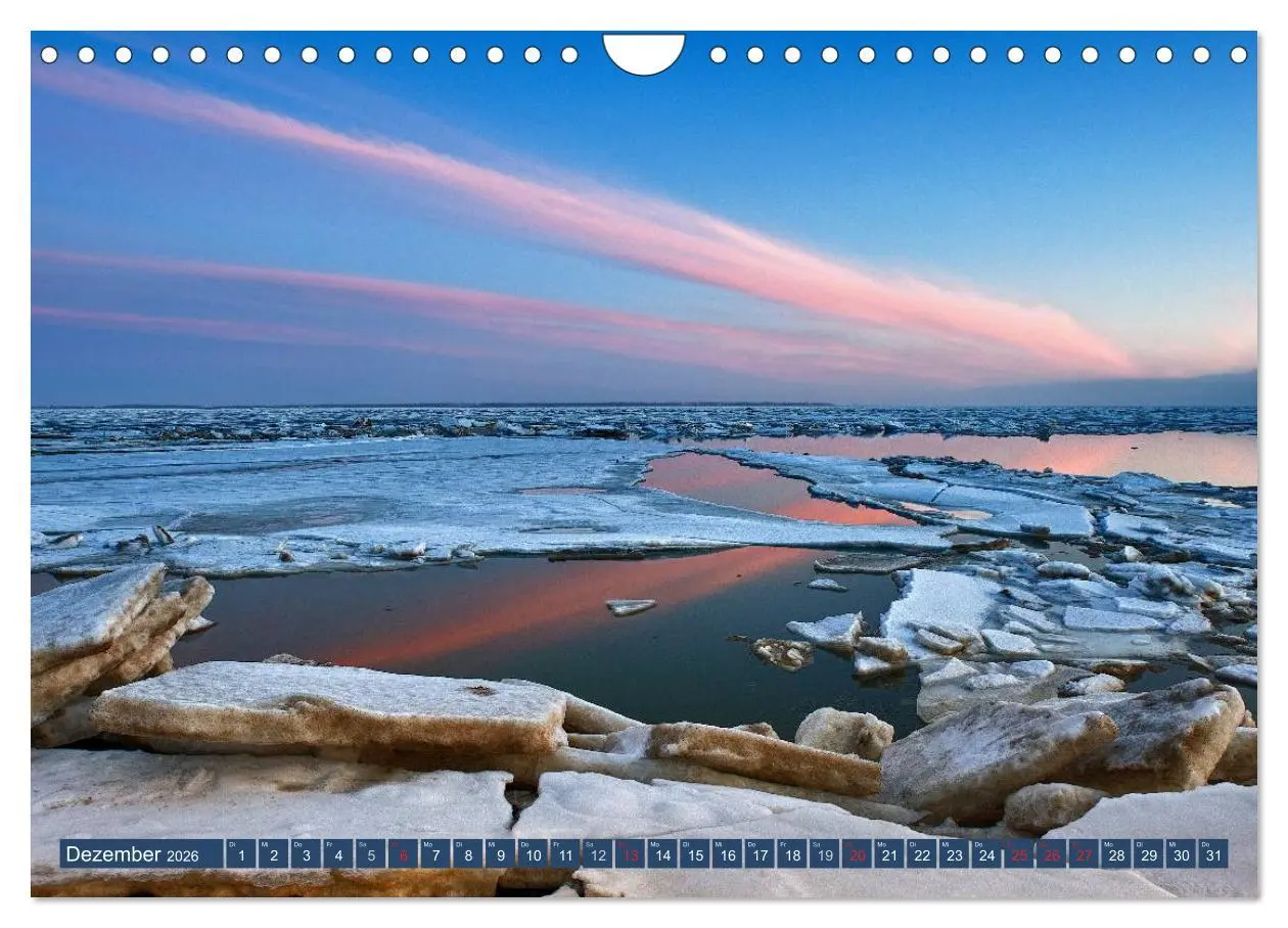 Bild: 9783516169539 | Die Hallig Langeneß (Wandkalender 2026 DIN A4 quer), CALVENDO...
