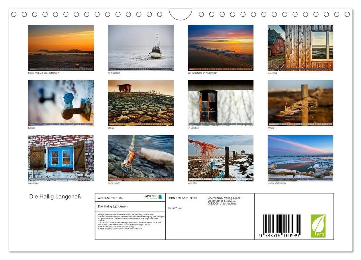 Bild: 9783516169539 | Die Hallig Langeneß (Wandkalender 2026 DIN A4 quer), CALVENDO...