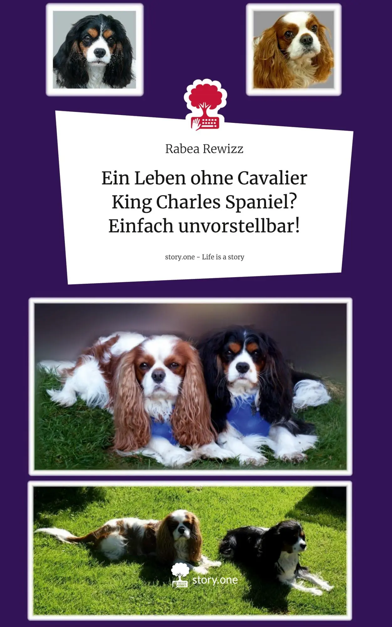 Cover: 9783711579539 | Ein Leben ohne Cavalier King Charles Spaniel? Einfach...
