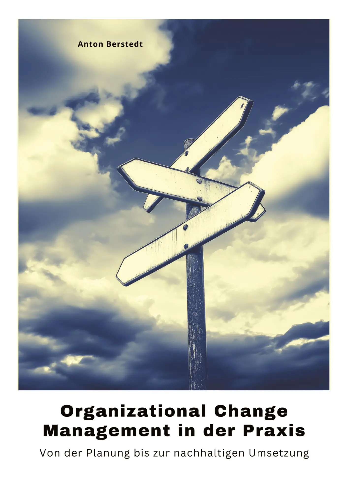 Cover: 9783384499639 | Organizational Change Management in der Praxis | Anton Berstedt | Buch