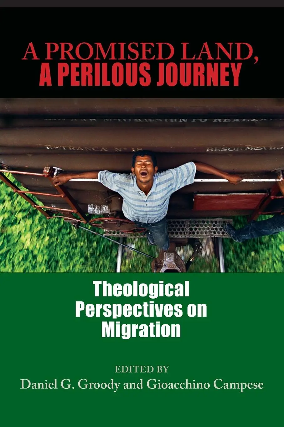 Cover: 9780268029739 | A Promised Land, A Perilous Journey | Daniel G. Groody (u. a.) | Buch