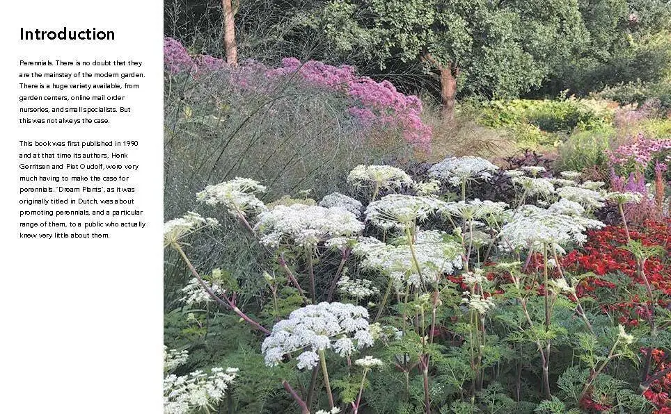 Bild: 9781604699739 | Planting the Natural Garden | Piet Oudolf (u. a.) | Buch | Gebunden