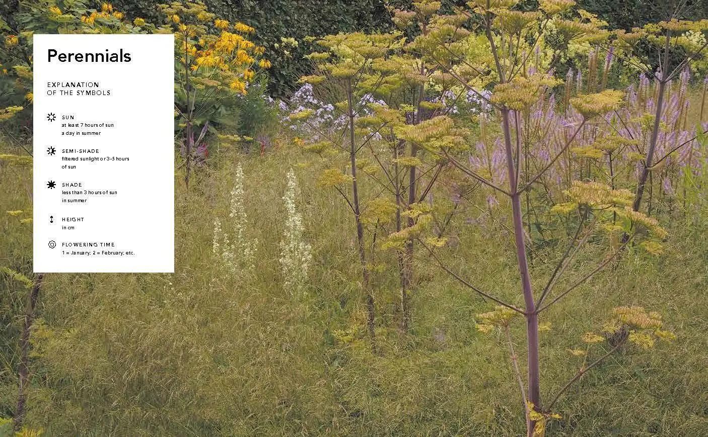 Bild: 9781604699739 | Planting the Natural Garden | Piet Oudolf (u. a.) | Buch | Gebunden