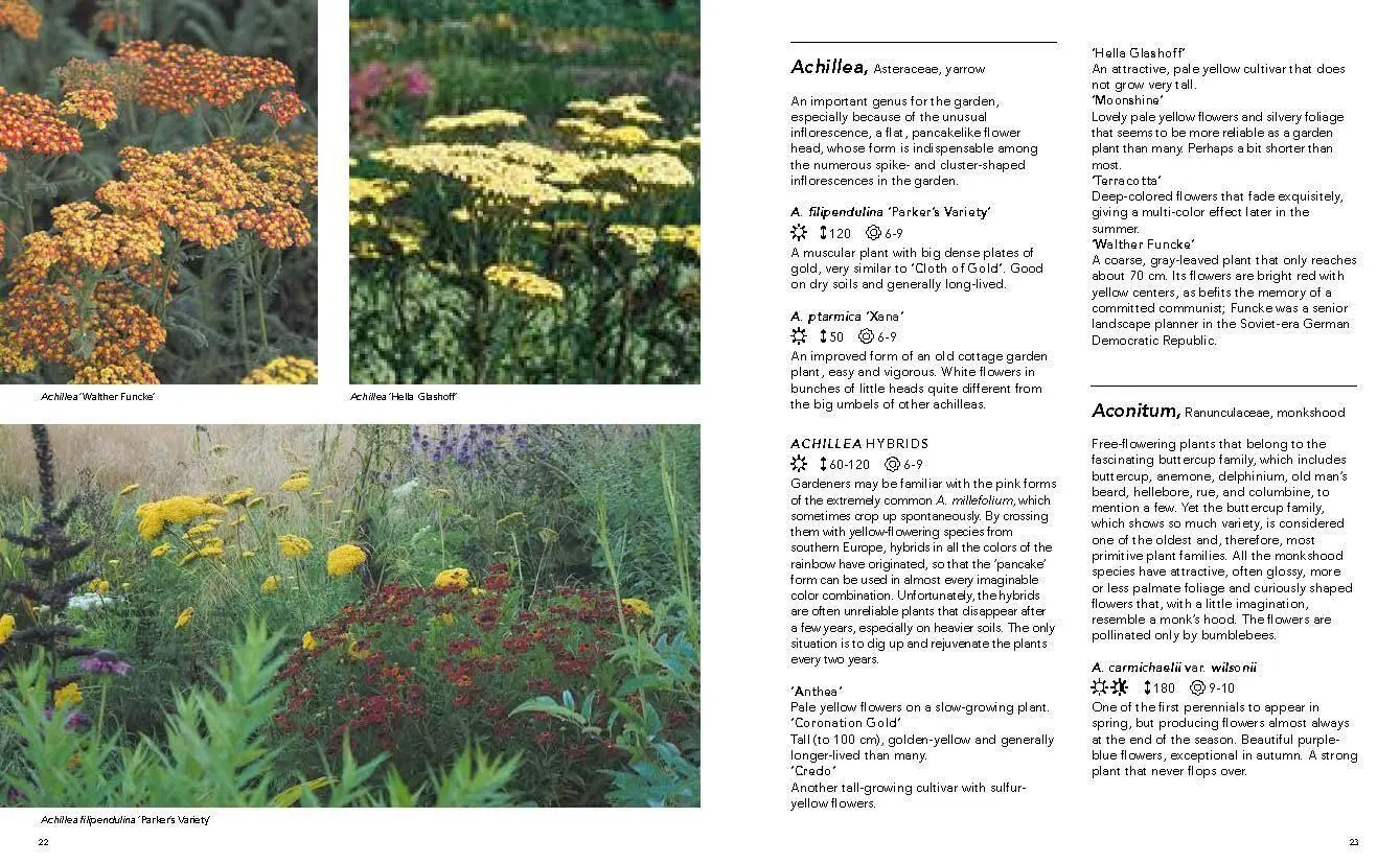 Bild: 9781604699739 | Planting the Natural Garden | Piet Oudolf (u. a.) | Buch | Gebunden