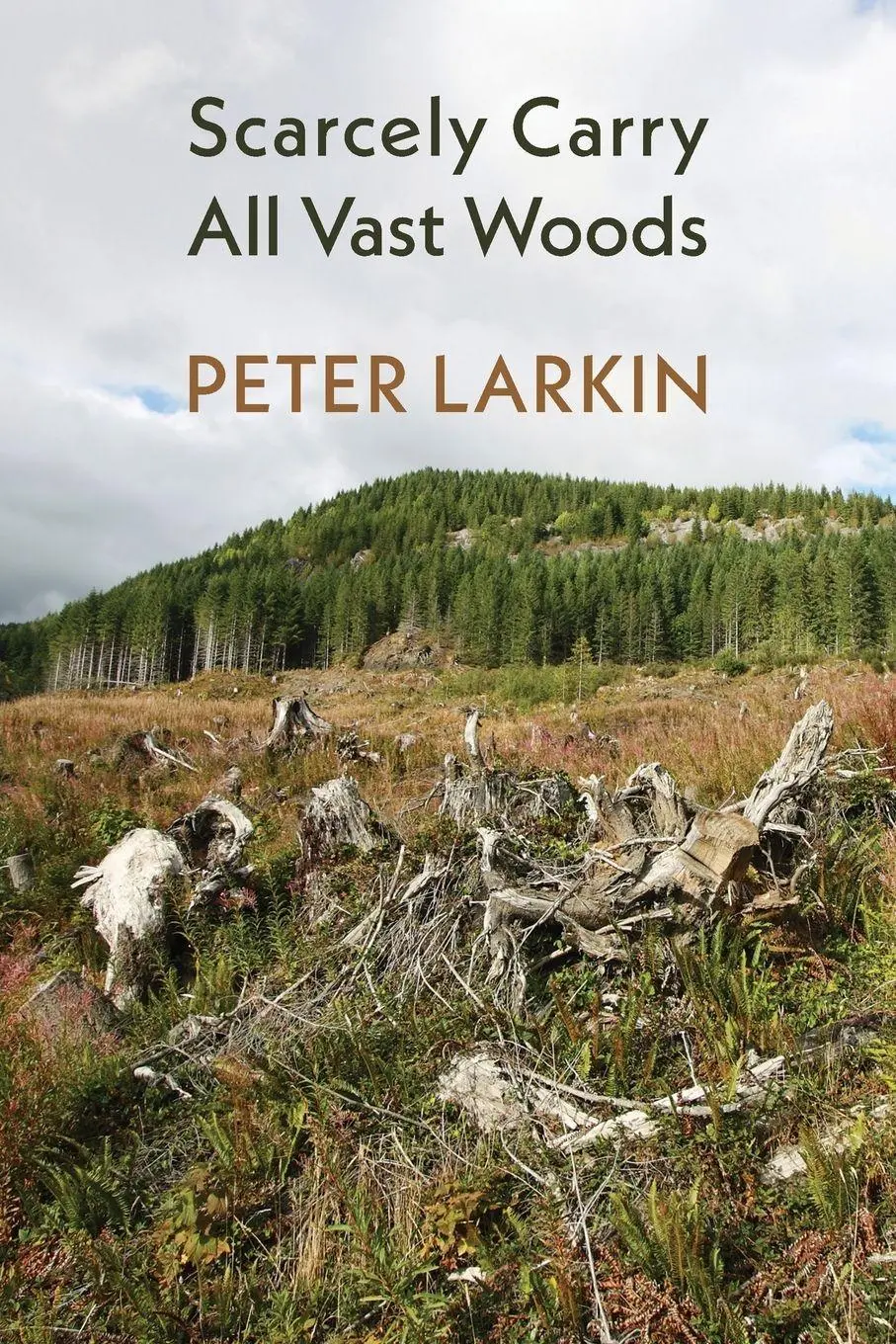 Cover: 9781848619739 | Scarcely Carry All Vast Woods | Peter Larkin | Taschenbuch | Englisch