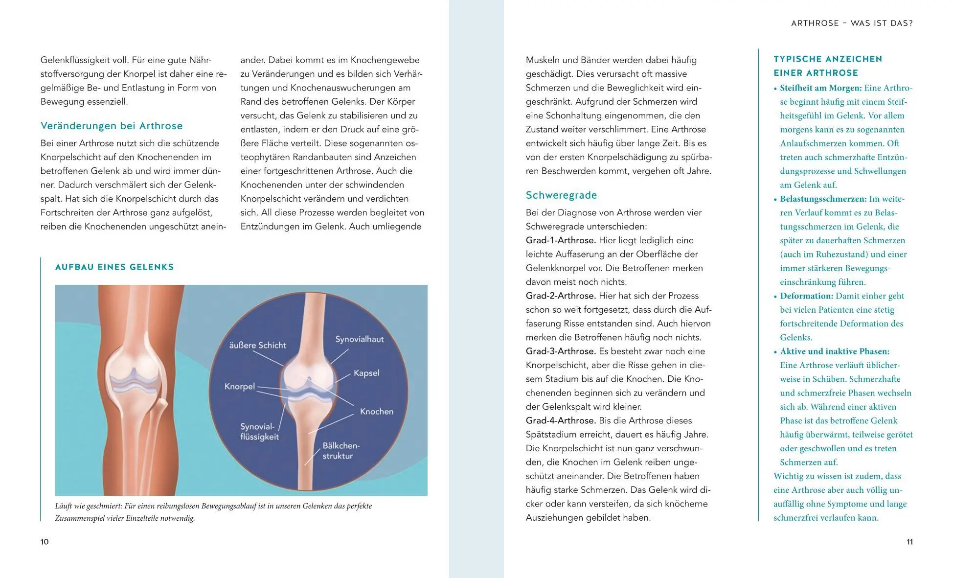 Bild: 9783833879739 | Schmerzfrei bei Arthrose | Das 4-Wochen-Ernährungsprogramm | Dücker