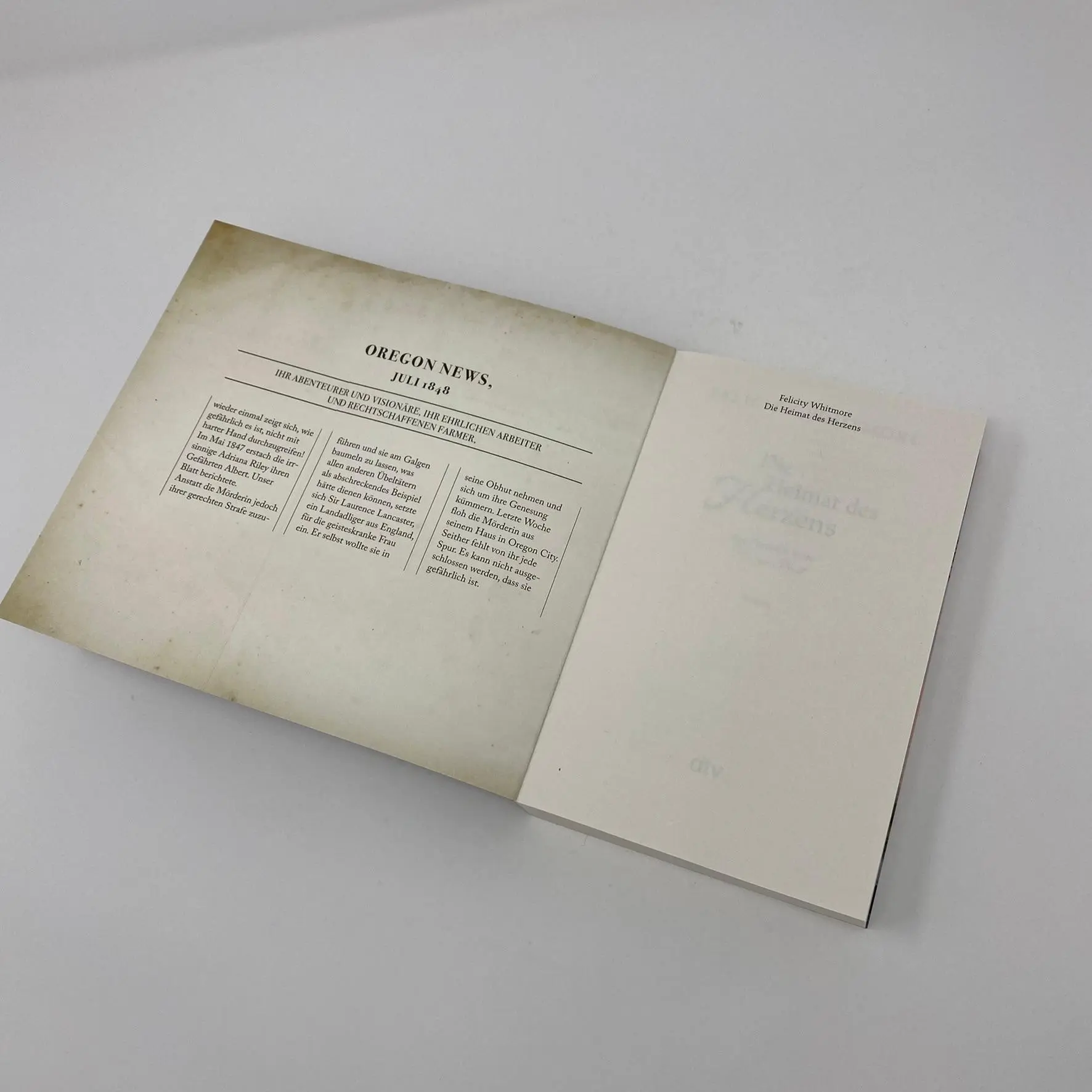 Bild: 9783423219839 | Die Heimat des Herzens | Die Frauen von Hampton Hall - Roman | Buch
