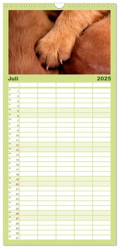 Bild: 9783457119839 | Familienplaner 2025 - Magyar Vizsla Welpen mit 5 Spalten...