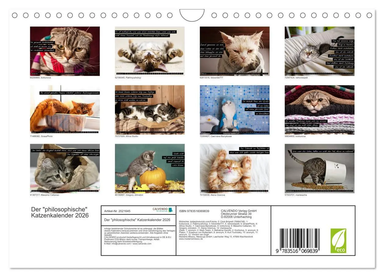 Bild: 9783516069839 | Der "philosophische" Katzenkalender 2026 (Wandkalender 2026 DIN A4...