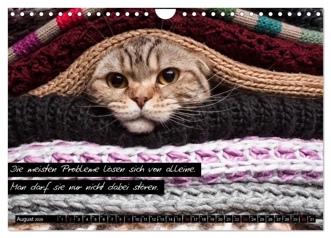 Bild: 9783516069839 | Der "philosophische" Katzenkalender 2026 (Wandkalender 2026 DIN A4...