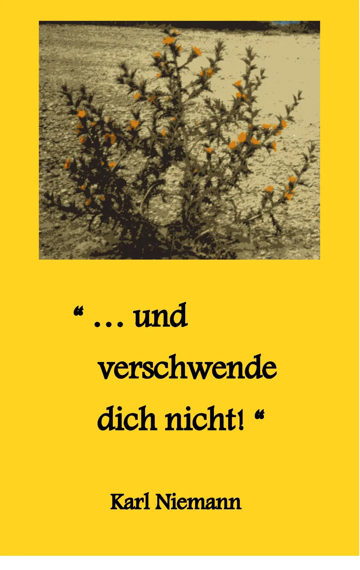 Cover: 9783743159839 | "... und verschwende dich nicht!" | Karl Niemann | Taschenbuch | 2017