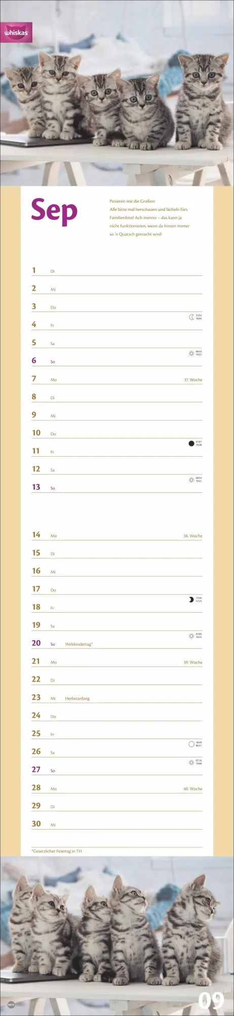 Bild: 9783756409839 | Whiskas Katzenleben Kalender 2026 | Heye | Kalender | Spiralbindung
