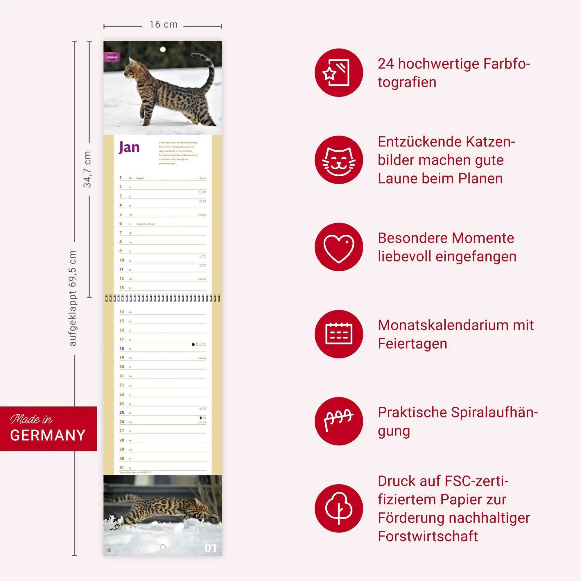 Bild: 9783756409839 | Whiskas Katzenleben Kalender 2026 | Heye | Kalender | Spiralbindung
