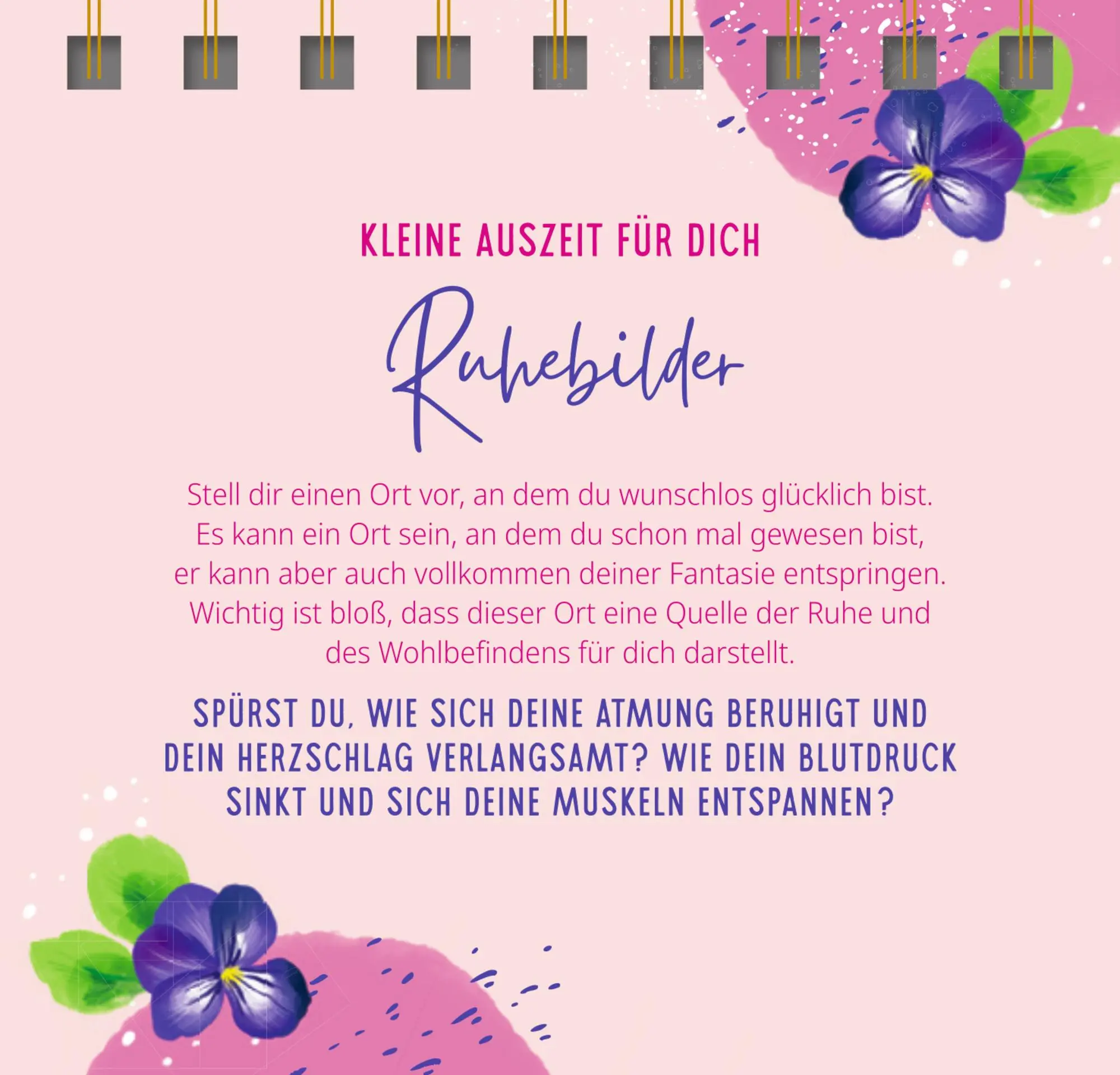 Bild: 9783649649939 | Kleine Auszeiten | Nora Paehl | Taschenbuch | Spiralbindung | 144 S.