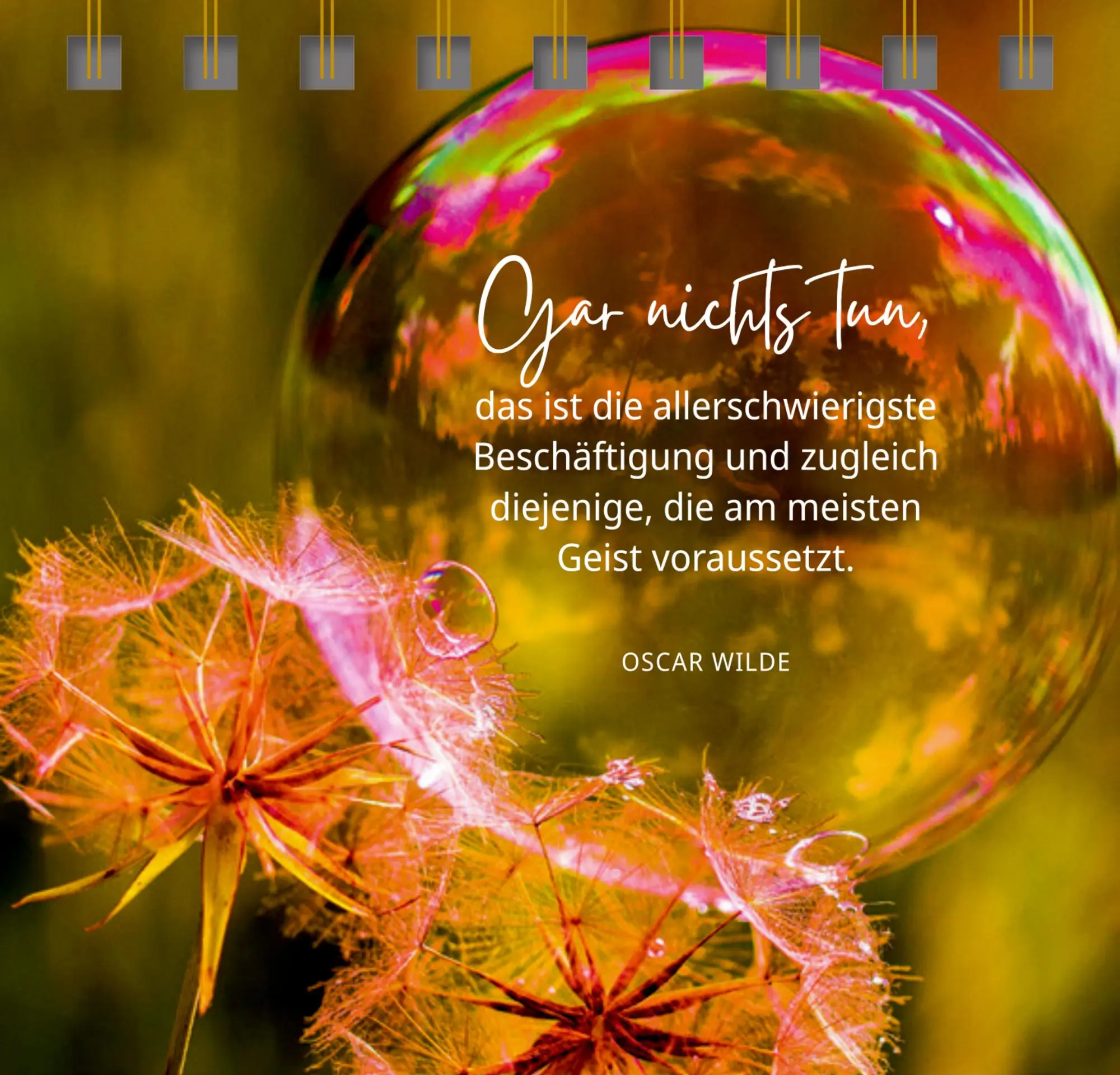 Bild: 9783649649939 | Kleine Auszeiten | Nora Paehl | Taschenbuch | Spiralbindung | 144 S.