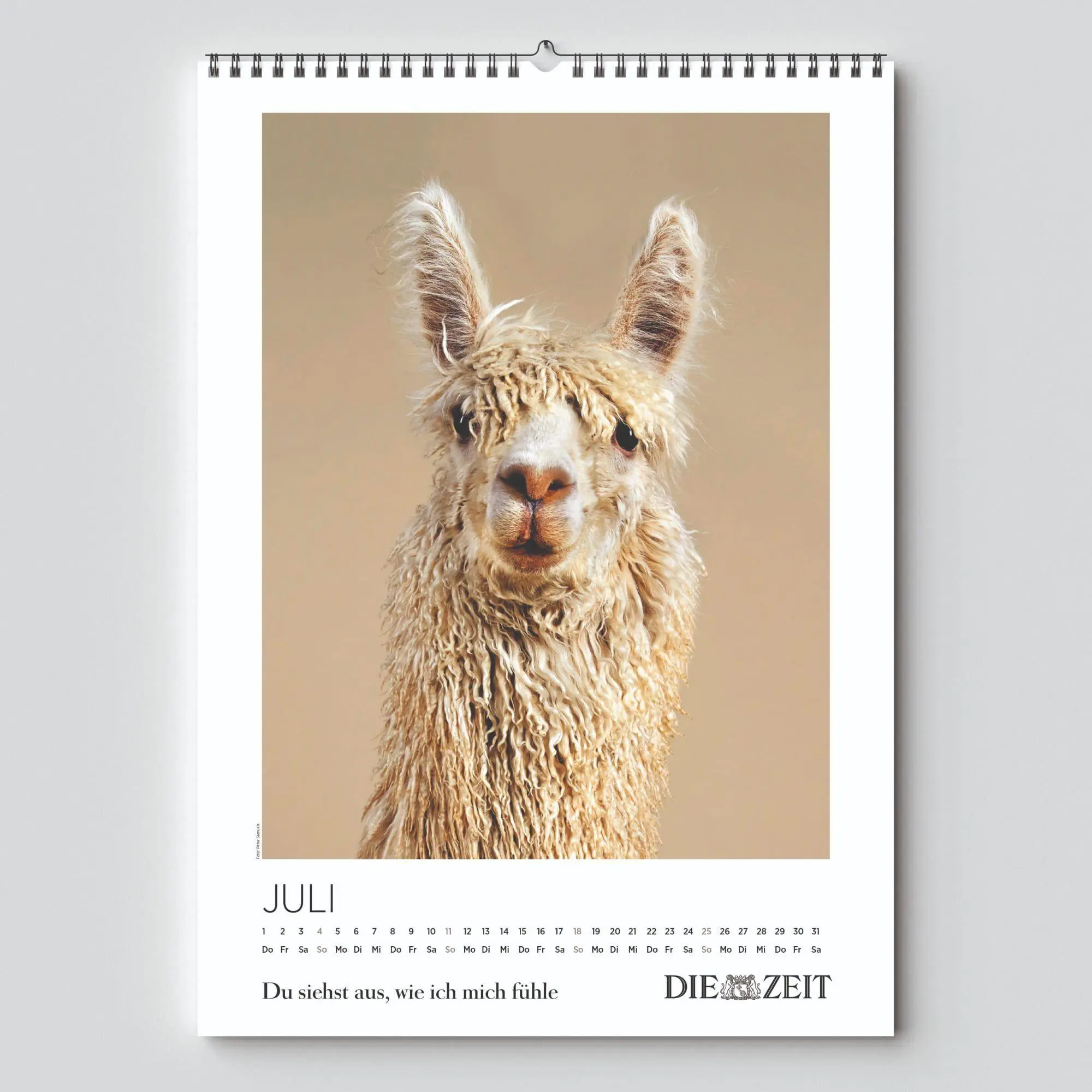 Bild: 9783910699939 | DIE ZEIT Kalender 2027 | "Du siehst aus, wie ich mich fühle" | 10 S.