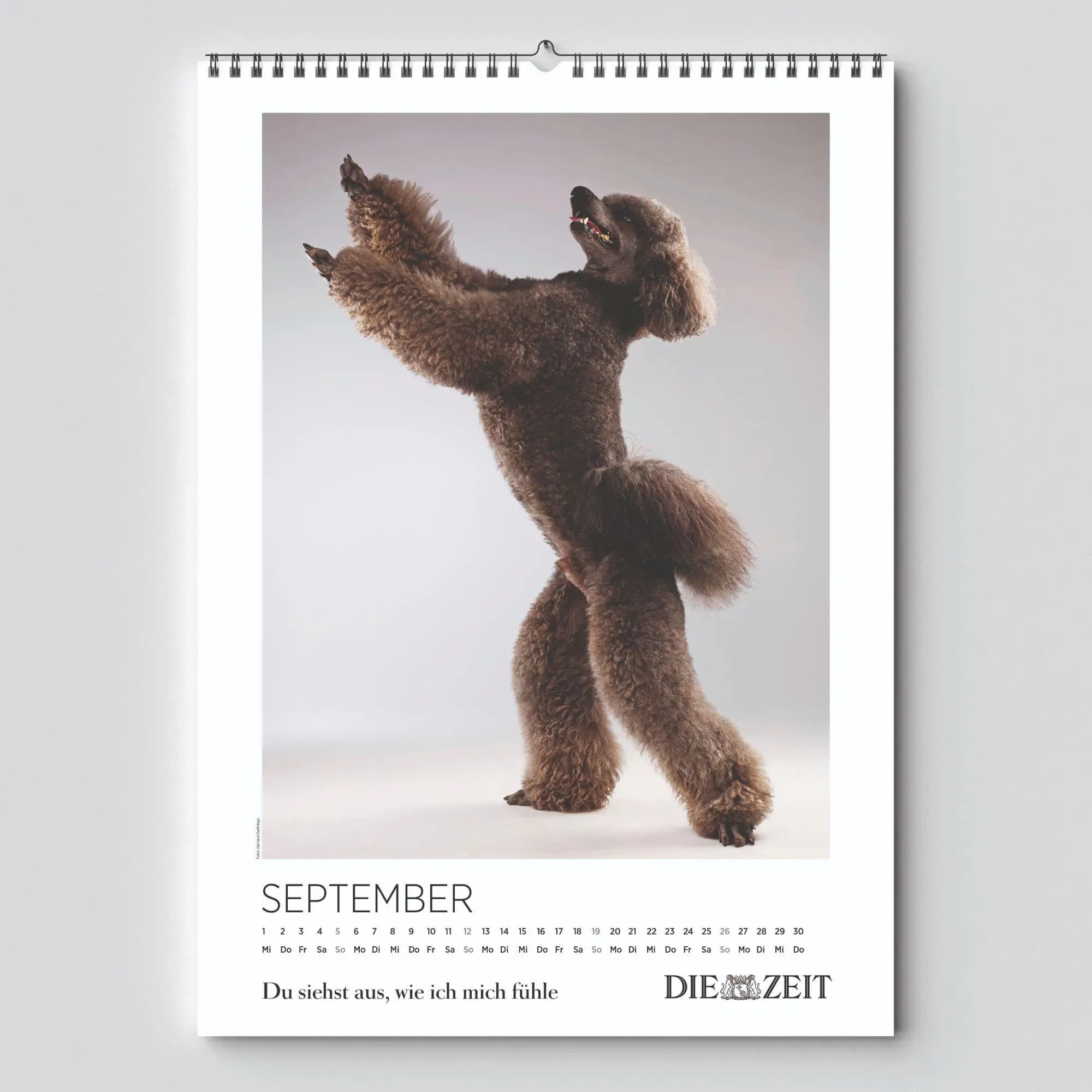 Bild: 9783910699939 | DIE ZEIT Kalender 2027 | "Du siehst aus, wie ich mich fühle" | 10 S.