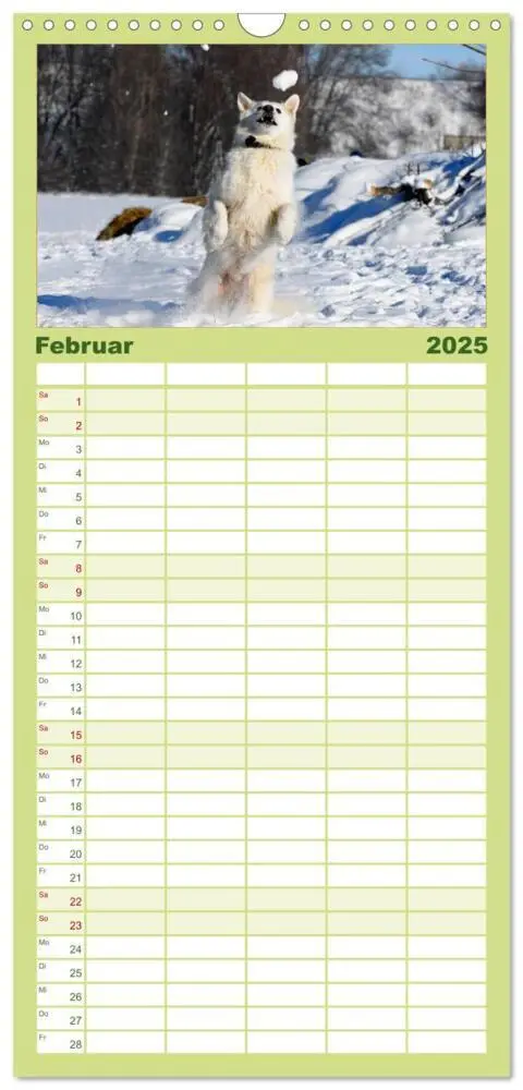 Bild: 9783457120040 | Familienplaner 2025 - Weißer Schweizer Schäferhund mit 5 Spalten...