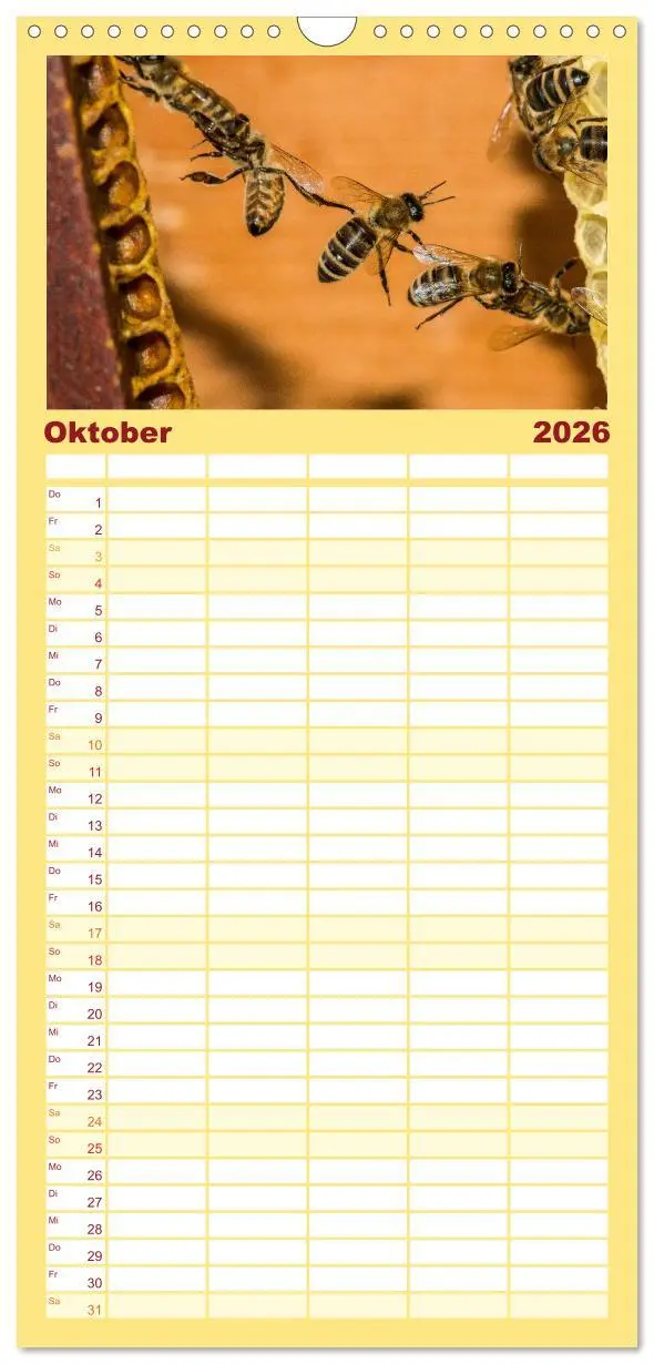 Bild: 9783516520040 | Familienplaner 2026 - Bienenkalender mit 5 Spalten (Wandkalender,...